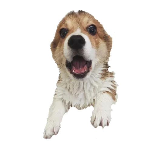 Стикер opgdobro