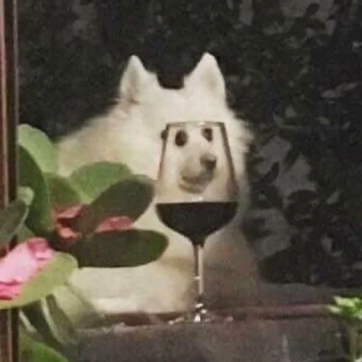 Стикер Orlmemes