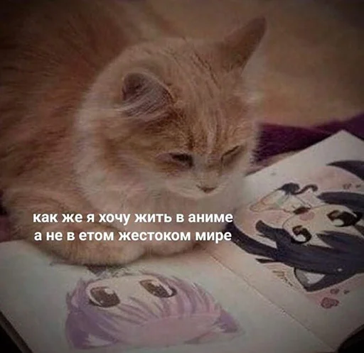 Стикер шмяк