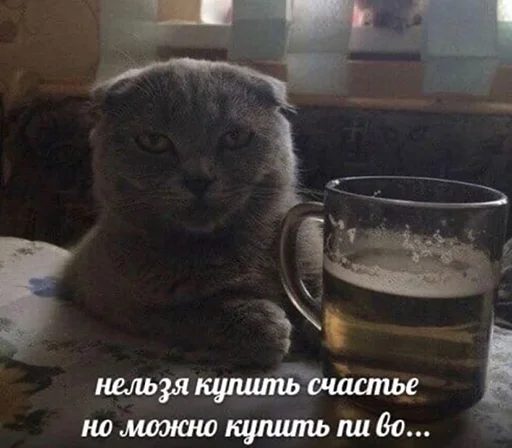 Стикер шмяк