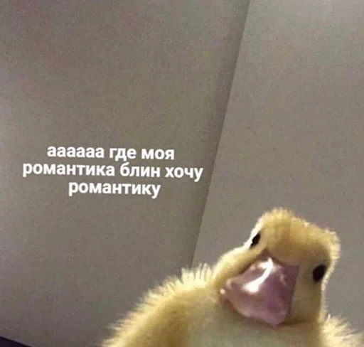 Стикер шмяк