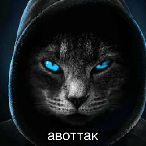 Стикер Окак