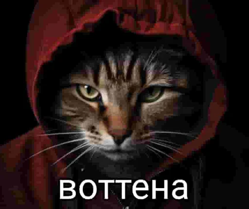 Стикер Окак