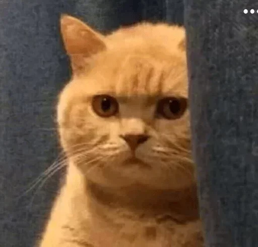 Стикер Caution