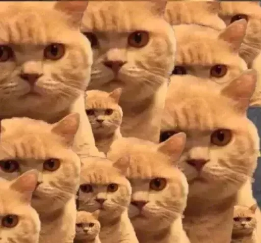 Стикер Caution