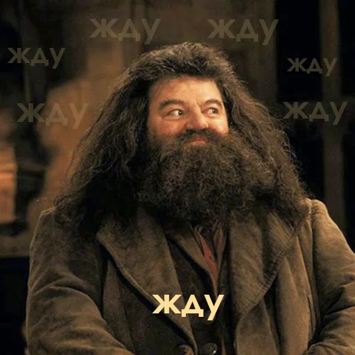 Стикер Гарри Поттер