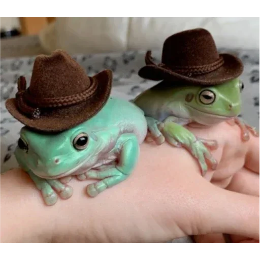 Стикер Паг Лягух