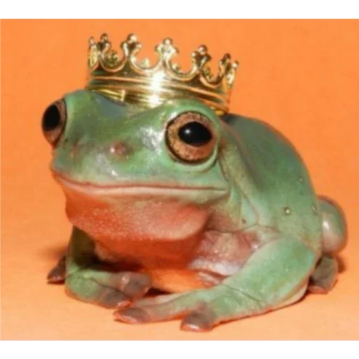 Стикер Паг Лягух