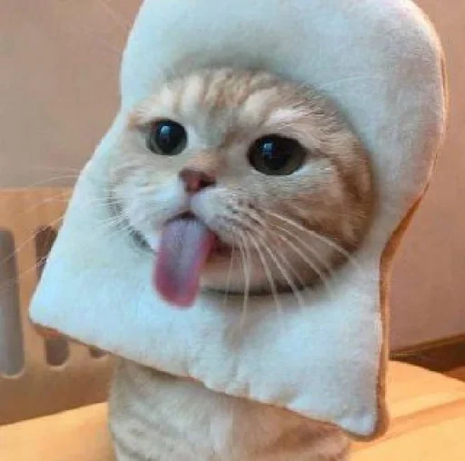 Стикер Cute animals