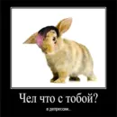 Стикер Чел