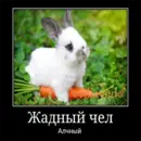 Стикер Чел