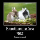 Стикер Чел