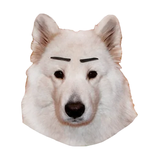 Стикер Песечки