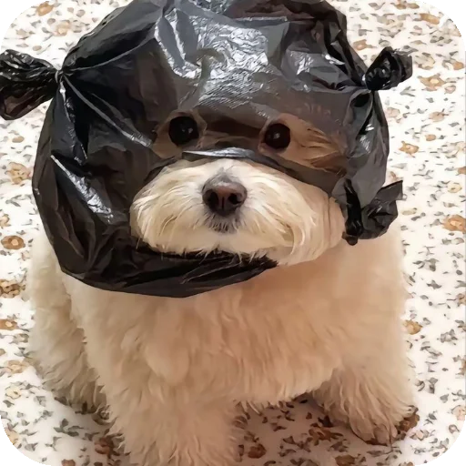 Стикер песики