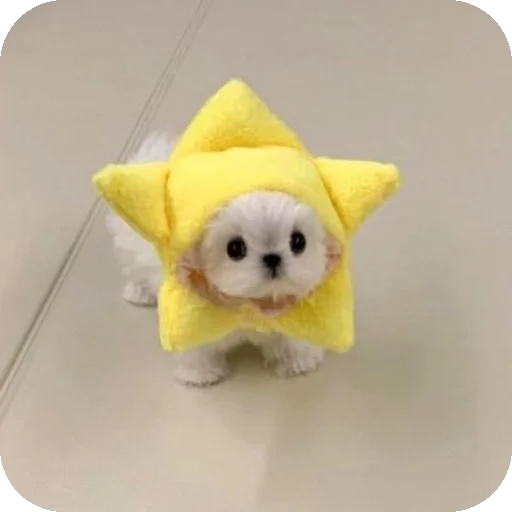 Стикер песики