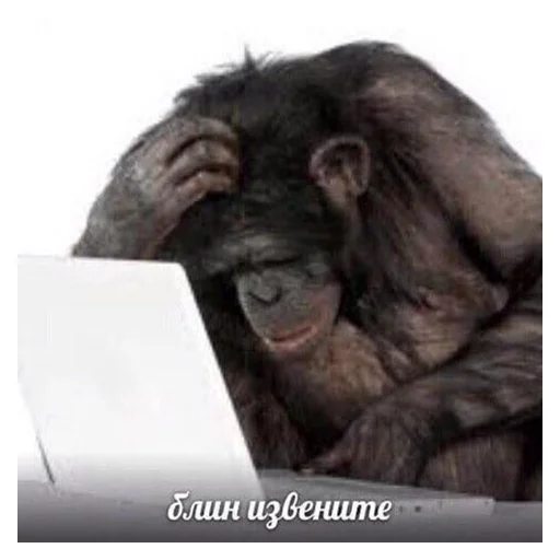 Стикер На Случая Случай