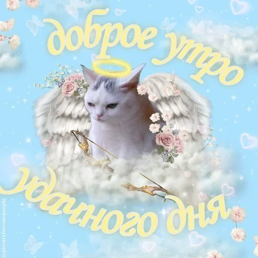 Стикер Котики и фразочки