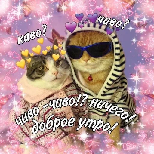 Стикер Котики и фразочки