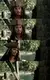 Стикер Pirates of The Caribbean