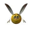 🐰
