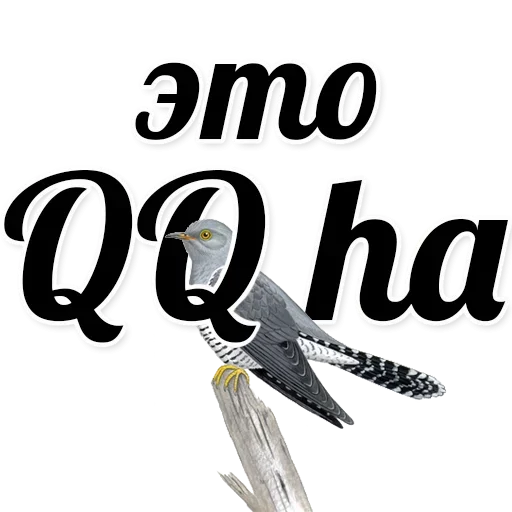 Стикер Пизда Звезда