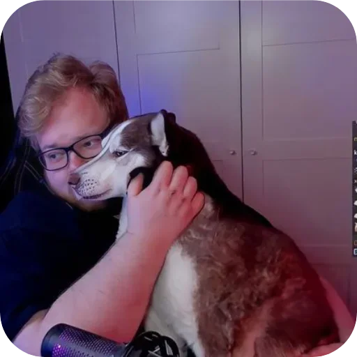 Стикер тоха т2х2