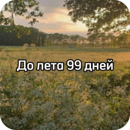 Стикер До лета