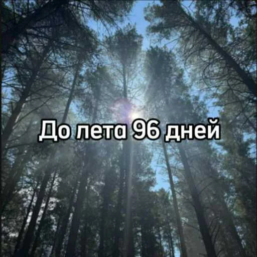 Стикер До лета