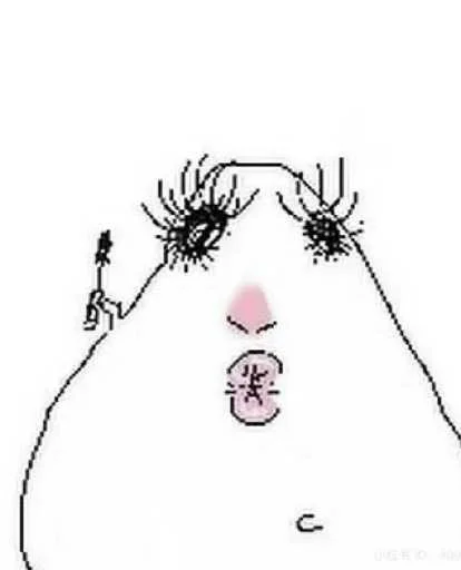 Стикер Хомячки