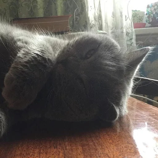 Стикер Плюшевая сексуальность