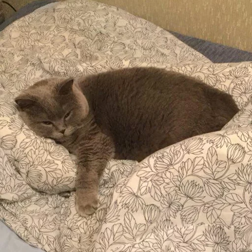 Стикер Плюшевая сексуальность