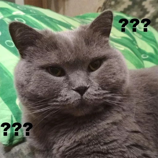 Стикер Плюшевая сексуальность