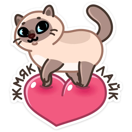 Стикер Котик Плюш