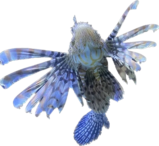 Стикер Png ios 16 ٩( ᐛ )و