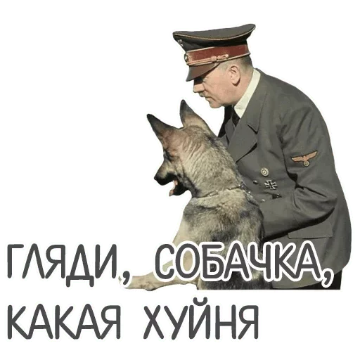 Стикер Поняшимся