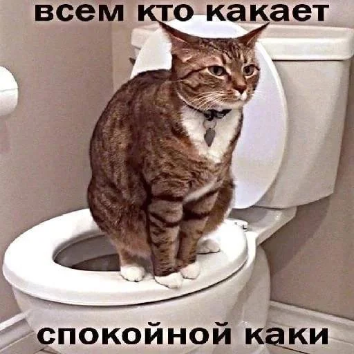 Стикер уебанские открытки