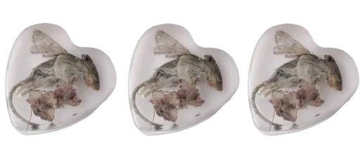 Стикер Cute | Милые