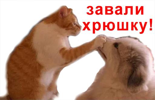 Стикер Повышаем гралус срача