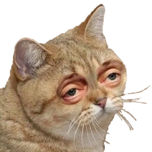 Стикер Postponed