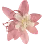 Эмодзи Pressed flowers