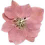 Эмодзи Pressed flowers