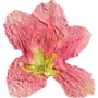 Эмодзи Pressed flowers