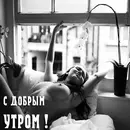 Стикер Profit