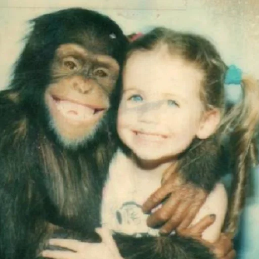 Стикер Forgotten