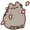 Эмодзи Pusheen