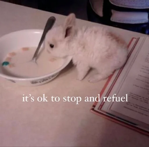 Стикер цитатный пак