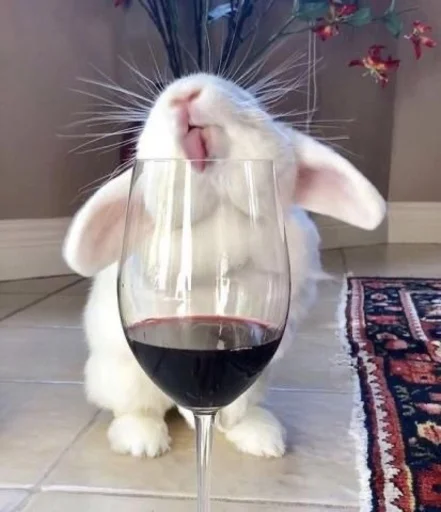 Стикер 🐰RABBITS🐰