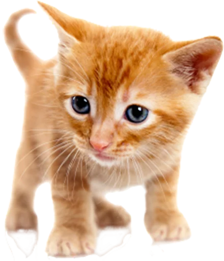 Стикер Real Emoji