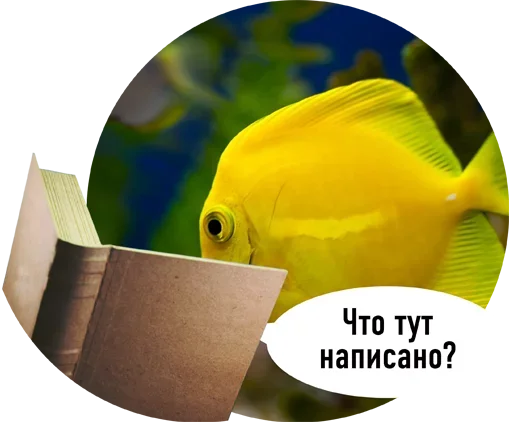 Стикер Рыбы пытаются читать