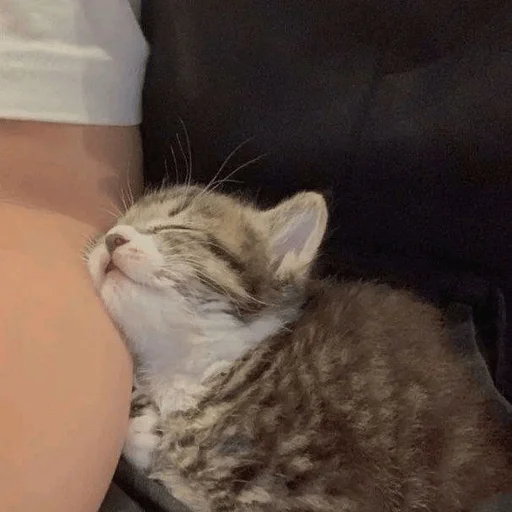 Стикер lovely♡